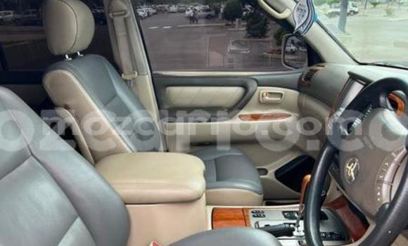 Tenga Tsaru Toyota Land Cruiser Chena Mota in Maputo in Maputo Tenga Tsaru Toyota Land Cruiser Chena Mota in Maputo in Maputo