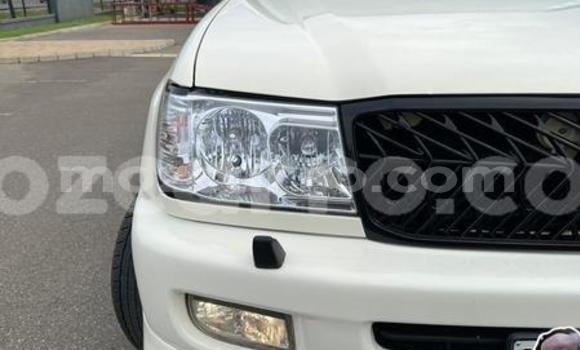 Tenga Tsaru Toyota Land Cruiser Chena Mota in Maputo in Maputo Tenga Tsaru Toyota Land Cruiser Chena Mota in Maputo in Maputo