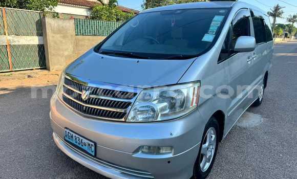 Comprar Usado Toyota Alphard De outros Carro em Maputo em Maputo Comprar Usado Toyota Alphard De outros Carro em Maputo em Maputo