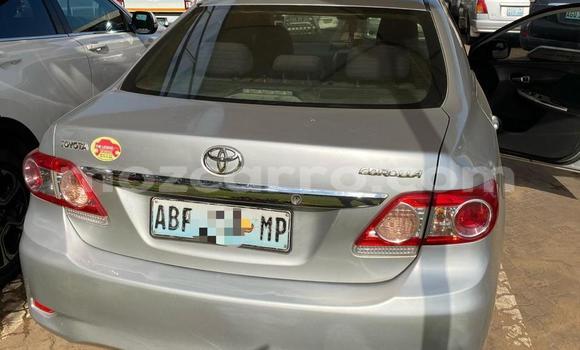 Nunua Ilio tumika Toyota Corolla Fedha Gari ndani ya Maputo nchini Maputo Nunua Ilio tumika Toyota Corolla Fedha Gari ndani ya Maputo nchini Maputo