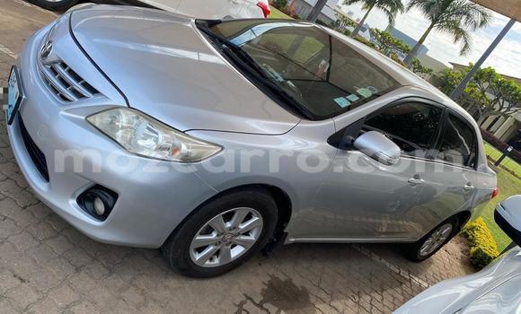 Nunua Ilio tumika Toyota Corolla Fedha Gari ndani ya Maputo nchini Maputo Nunua Ilio tumika Toyota Corolla Fedha Gari ndani ya Maputo nchini Maputo