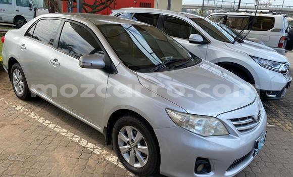 Nunua Ilio tumika Toyota Corolla Fedha Gari ndani ya Maputo nchini Maputo Nunua Ilio tumika Toyota Corolla Fedha Gari ndani ya Maputo nchini Maputo