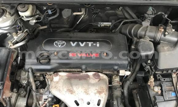 Nunua Ilio tumika Toyota RAV4 Brown Gari ndani ya Maputo nchini Maputo Nunua Ilio tumika Toyota RAV4 Brown Gari ndani ya Maputo nchini Maputo