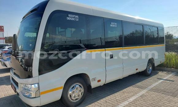 Comprar Usado Toyota Coaster Branco Carro em Maputo em Maputo