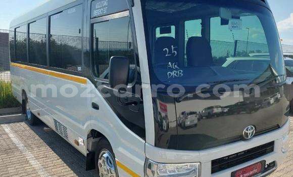 Nunua Ilio tumika Toyota Coaster Nyeupe Gari ndani ya Maputo nchini Maputo Nunua Ilio tumika Toyota Coaster Nyeupe Gari ndani ya Maputo nchini Maputo