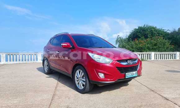 Buy Used Hyundai ix35 Red Car in Maputo in Maputo Buy Used Hyundai ix35 Red Car in Maputo in Maputo
