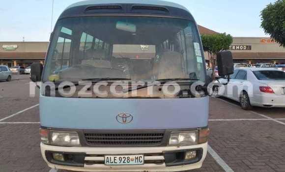 Comprar Novo Toyota Coaster De outros Carro em Maputo em Maputo Comprar Novo Toyota Coaster De outros Carro em Maputo em Maputo
