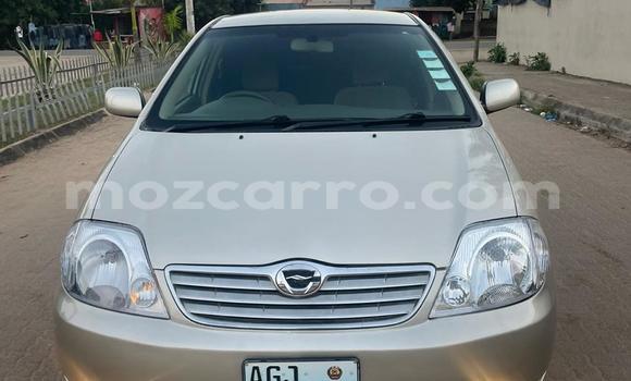 Nunua Ilio tumika Toyota Corolla Nyingine Gari ndani ya Maputo nchini Maputo