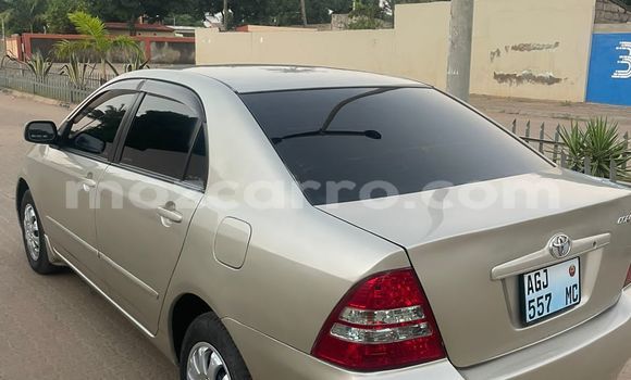 Comprar Usado Toyota Corolla De outros Carro em Maputo em Maputo Comprar Usado Toyota Corolla De outros Carro em Maputo em Maputo
