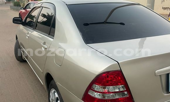 Comprar Usado Toyota Corolla De outros Carro em Maputo em Maputo Comprar Usado Toyota Corolla De outros Carro em Maputo em Maputo