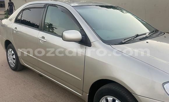 Comprar Usado Toyota Corolla De outros Carro em Maputo em Maputo Comprar Usado Toyota Corolla De outros Carro em Maputo em Maputo
