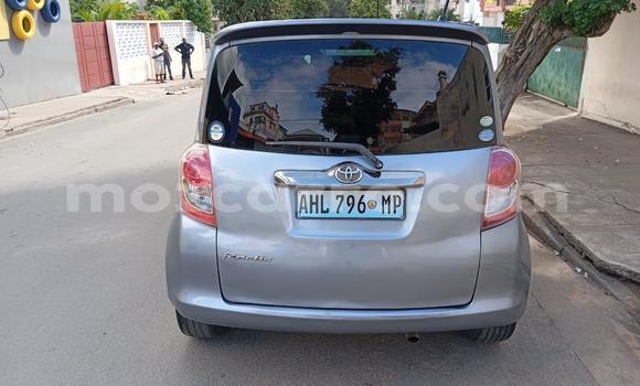 Buy Used Toyota Ractis Blue Car in Maputo in Maputo Buy Used Toyota Ractis Blue Car in Maputo in Maputo