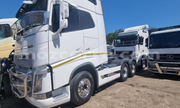 Tenga Tsaru Volvo F4 Chena Rori in Maputo in Maputo Tenga Tsaru Volvo F4 Chena Rori in Maputo in Maputo