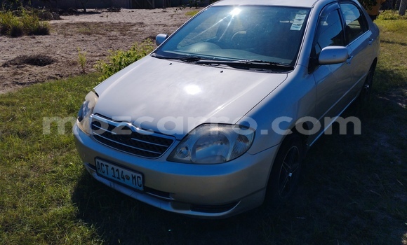 Tenga Tsaru Toyota 2000GT Zvimwe Mota in Mocambique in Nampula Tenga Tsaru Toyota 2000GT Zvimwe Mota in Mocambique in Nampula