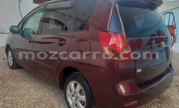 Nunua Ilio tumika Toyota Spacio Nyingine Gari ndani ya Maputo nchini Maputo Nunua Ilio tumika Toyota Spacio Nyingine Gari ndani ya Maputo nchini Maputo