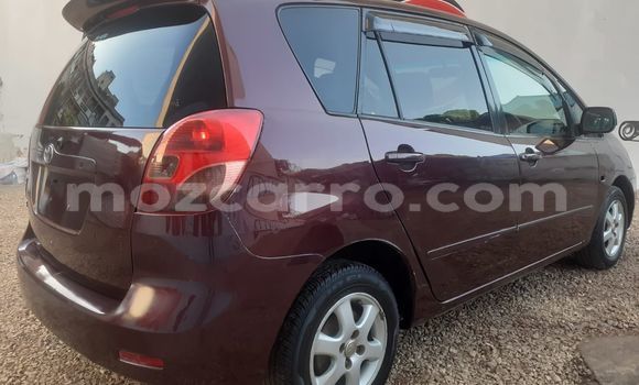 Nunua Ilio tumika Toyota Spacio Nyingine Gari ndani ya Maputo nchini Maputo Nunua Ilio tumika Toyota Spacio Nyingine Gari ndani ya Maputo nchini Maputo