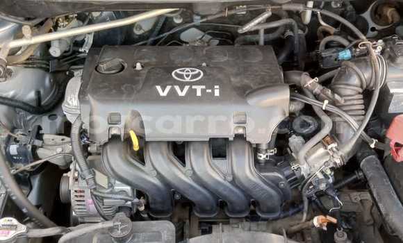 Nunua Ilio tumika Toyota Spacio Fedha Gari ndani ya Maputo nchini Maputo Nunua Ilio tumika Toyota Spacio Fedha Gari ndani ya Maputo nchini Maputo