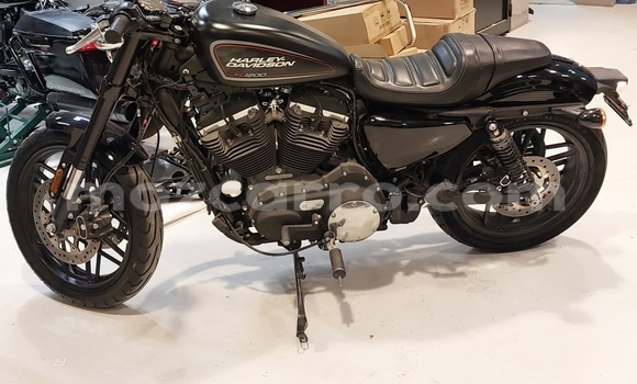 Tenga Tsaru Harley Davidson Sportster Nhema Bike in Maputo in Maputo Tenga Tsaru Harley Davidson Sportster Nhema Bike in Maputo in Maputo