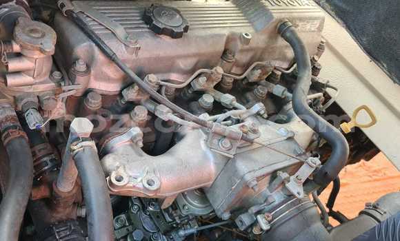 Buy Used Toyota Dyna White Truck in Maputo in Maputo Buy Used Toyota Dyna White Truck in Maputo in Maputo