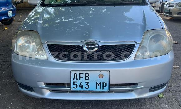 Buy Used Toyota Runx Silver Car in Maputo in Maputo
