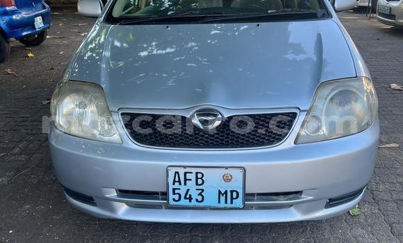 Tenga Tsaru Toyota Runx Sirivha Mota in Maputo in Maputo Tenga Tsaru Toyota Runx Sirivha Mota in Maputo in Maputo