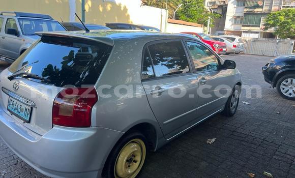 Tenga Tsaru Toyota Runx Sirivha Mota in Maputo in Maputo Tenga Tsaru Toyota Runx Sirivha Mota in Maputo in Maputo