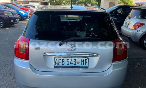 Tenga Tsaru Toyota Runx Sirivha Mota in Maputo in Maputo Tenga Tsaru Toyota Runx Sirivha Mota in Maputo in Maputo