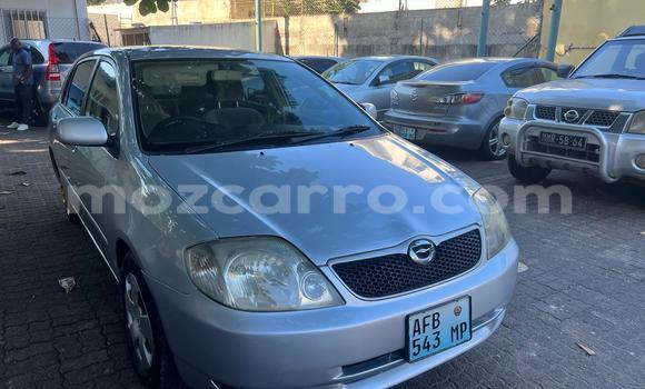 Tenga Tsaru Toyota Runx Sirivha Mota in Maputo in Maputo Tenga Tsaru Toyota Runx Sirivha Mota in Maputo in Maputo