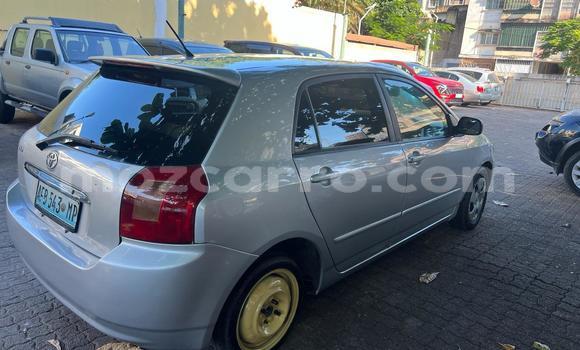 Tenga Tsaru Toyota Runx Sirivha Mota in Maputo in Maputo Tenga Tsaru Toyota Runx Sirivha Mota in Maputo in Maputo