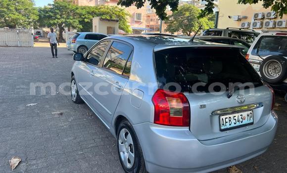 Tenga Tsaru Toyota Runx Sirivha Mota in Maputo in Maputo Tenga Tsaru Toyota Runx Sirivha Mota in Maputo in Maputo