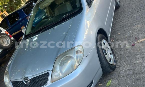 Tenga Tsaru Toyota Runx Sirivha Mota in Maputo in Maputo Tenga Tsaru Toyota Runx Sirivha Mota in Maputo in Maputo