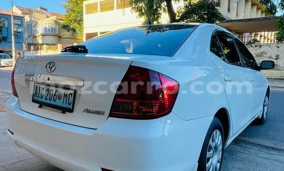 Tenga Tsaru Toyota Allion Chena Mota in Maputo in Maputo Tenga Tsaru Toyota Allion Chena Mota in Maputo in Maputo