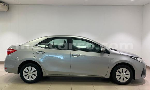 Nunua Ilio tumika Toyota Corolla Fedha Gari ndani ya Maputo nchini Maputo Nunua Ilio tumika Toyota Corolla Fedha Gari ndani ya Maputo nchini Maputo