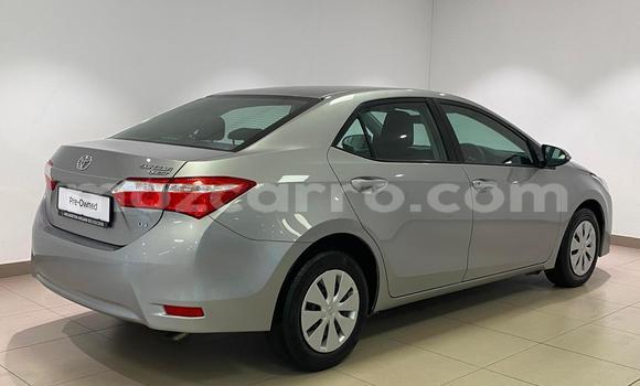 Nunua Ilio tumika Toyota Corolla Fedha Gari ndani ya Maputo nchini Maputo Nunua Ilio tumika Toyota Corolla Fedha Gari ndani ya Maputo nchini Maputo