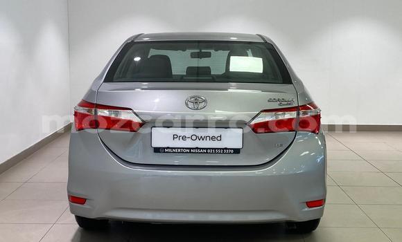 Nunua Ilio tumika Toyota Corolla Fedha Gari ndani ya Maputo nchini Maputo Nunua Ilio tumika Toyota Corolla Fedha Gari ndani ya Maputo nchini Maputo