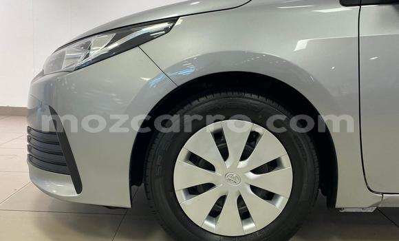 Nunua Ilio tumika Toyota Corolla Fedha Gari ndani ya Maputo nchini Maputo Nunua Ilio tumika Toyota Corolla Fedha Gari ndani ya Maputo nchini Maputo