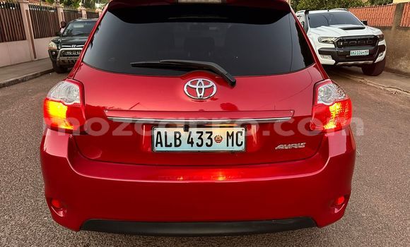 Buy Used Toyota Auris Red Car in Maputo in Maputo Buy Used Toyota Auris Red Car in Maputo in Maputo