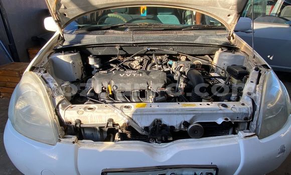 Tenga Tsaru Toyota Vitz Chena Mota in Maputo in Maputo Tenga Tsaru Toyota Vitz Chena Mota in Maputo in Maputo