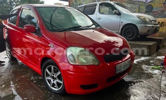 Buy Used Toyota Vitz Red Car in Maputo in Maputo