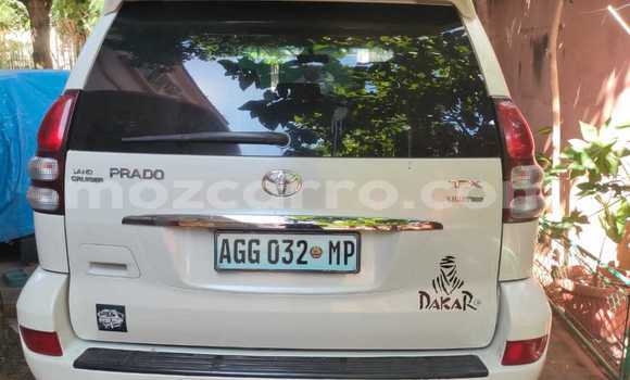 Tenga Tsaru Toyota Land Cruiser Prado Chena Mota in Maputo in Maputo Tenga Tsaru Toyota Land Cruiser Prado Chena Mota in Maputo in Maputo