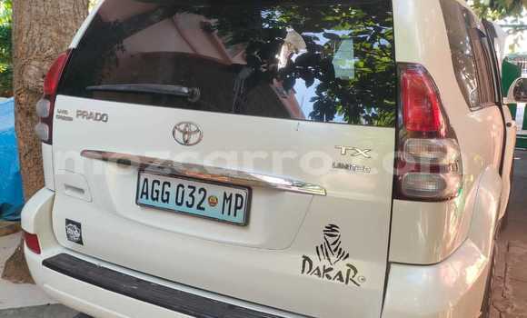 Tenga Tsaru Toyota Land Cruiser Prado Chena Mota in Maputo in Maputo Tenga Tsaru Toyota Land Cruiser Prado Chena Mota in Maputo in Maputo