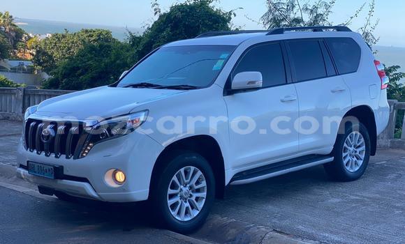Buy Used Toyota Land Cruiser Prado White Car in Maputo in Maputo Buy Used Toyota Land Cruiser Prado White Car in Maputo in Maputo
