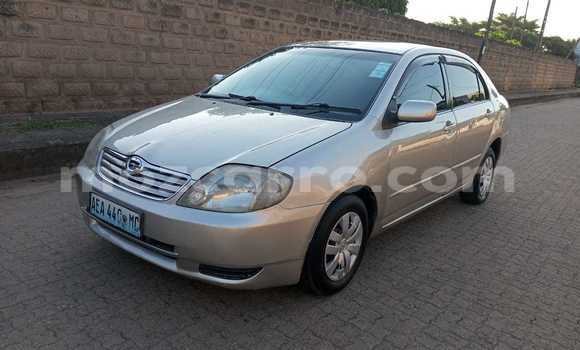 Comprar Usado Toyota Corolla De outros Carro em Maputo em Maputo Comprar Usado Toyota Corolla De outros Carro em Maputo em Maputo