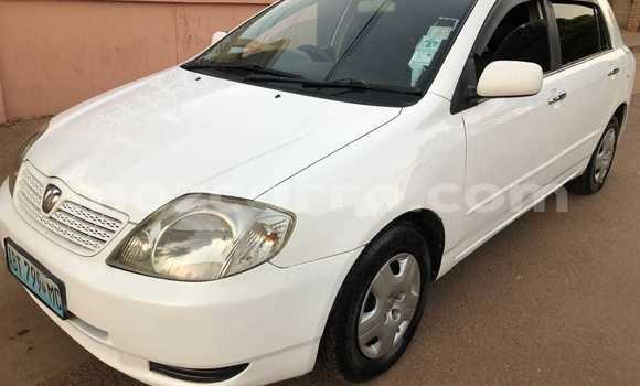 Buy Used Toyota Runx White Car in Maputo in Maputo Buy Used Toyota Runx White Car in Maputo in Maputo