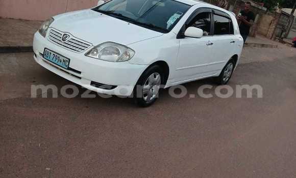 Buy Used Toyota Runx White Car in Maputo in Maputo Buy Used Toyota Runx White Car in Maputo in Maputo