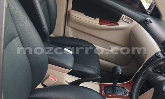 Comprar Usado Toyota Runx Branco Carro em Maputo em Maputo Comprar Usado Toyota Runx Branco Carro em Maputo em Maputo