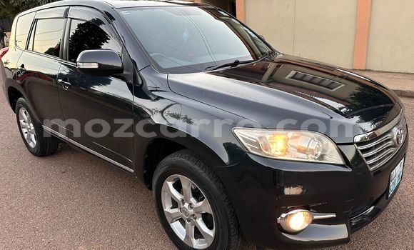 Buy Used Toyota Vanguard Other Car in Maputo in Maputo