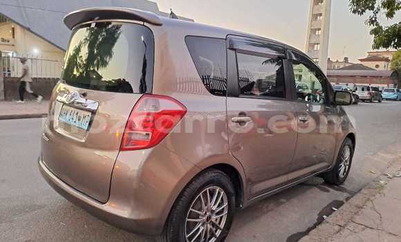 Comprar Usado Toyota Ractis Castanho Carro em Maputo em Maputo Comprar Usado Toyota Ractis Castanho Carro em Maputo em Maputo