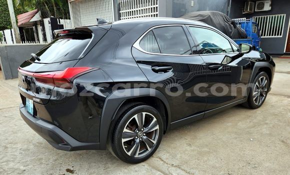 Comprar Usado Lexus UX De outros Carro em Maputo em Maputo Comprar Usado Lexus UX De outros Carro em Maputo em Maputo