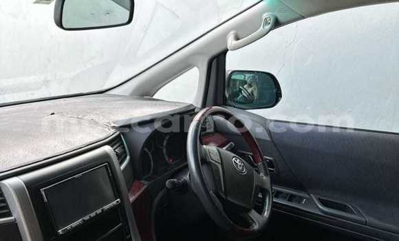 Tenga Tsaru Toyota Vellfire Nhema Mota in Maputo in Maputo Tenga Tsaru Toyota Vellfire Nhema Mota in Maputo in Maputo